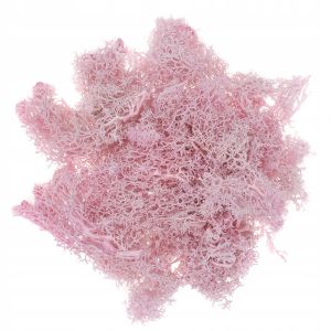 Mech naturalny dpCraft Różowy, 30g